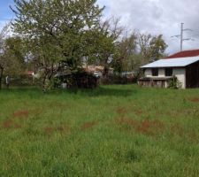 2 cabanes et une dizaine d'arbres seront &agrave; abattre!