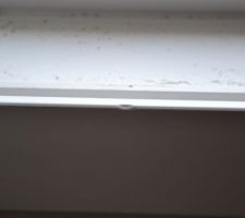 Idem comme sur les 5 fen&ecirc;tres merci les cr&eacute;pisseur