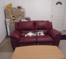 Aller fini la sieste au boulot!!!