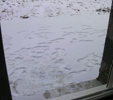 24 fevr : blanc &agrave; l?ext&eacute;rieur (neige)