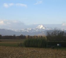 Vue depuis la terrasse: Pic du Midi de Bigorre