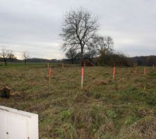 Preparation du terrain