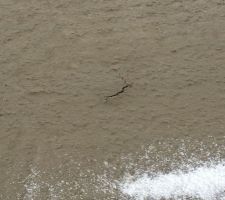 Qu'est ce que vous en pensez?