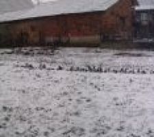 Terrain, future ex-jardin des parents