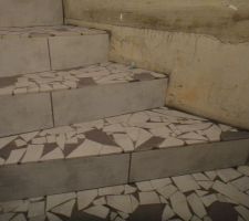 Carrelage descente cave vue contre-marche