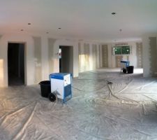 Peinture des plafonds