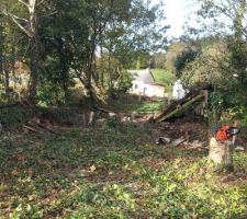 Elagage des arbres pour la creation de la futur route