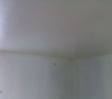 Le plafond du séjour ( avec le blanc qui ne l'ai pas :( )