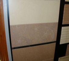 Faïence/carrelage de la salle de bain.