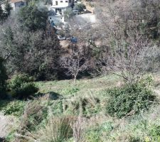 La premi&egrave;re Maison sur le terrain 





sisi dans l'arbre en bas pour les zozio