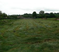 Ca se précise, nous faisons profiter un agriculteur local du foin disponible sur la parcelle avant de commencer l'implantatation et le terrassement.