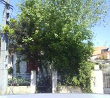 La maison le jour de notre 1&egrave;re visite