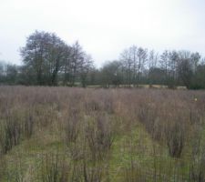 Bornes sur le terrain