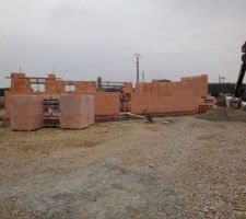 Cela pousse tranquillement ...