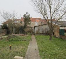 Arbres coup&eacute;s..et piscine retir&eacute;e