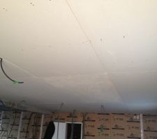 Faux plafond RDC