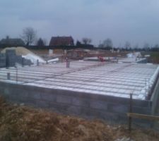 Installation des trillis soud&eacute;s et &eacute;vacuations