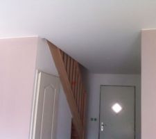 Mur du séjour
Couleur : marron glacé