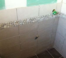 Début faïence de la salle de bain