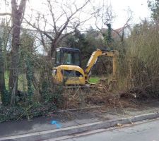 1 an apr&egrave;s ... Le d&eacute;but du d&eacute;frichage.

Comme quoi, il ne faut jamais d&eacute;sesp&eacute;rer :D