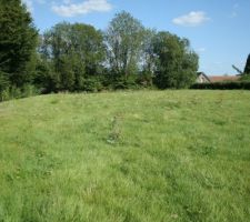 Vue au milieu du terrain