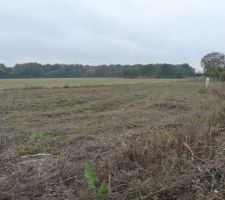 Voici notre terrain de 648m2