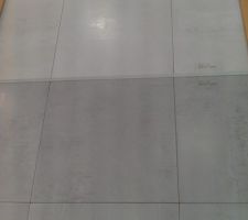 Carrelage salle de bain des enfants (celui du dessus).