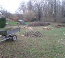 Les arbres sont coupés