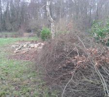 Il faut se débarrasser des branchages...