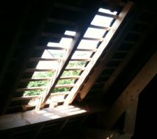 Installation du premier velux