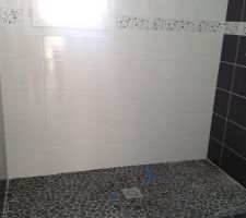 Voici la fience de notre douche italienne