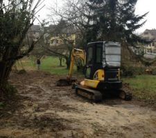 Apercu de notre grand sapin et au fond le cerisier