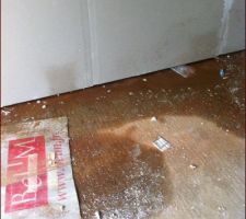 Pose cloisons contre murs salons.
ça mouille à l?intérieur