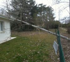 Avant hier soir, en rentrant chez moi, petite surprise. Un arbre de mon voisin qui est le propriétaire de la maison que je loue est tombé sur le toit de la maison. Peu de dégat, ouf