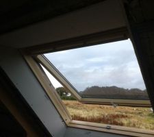 Entourage Velux