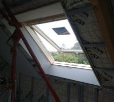 Entourage Velux