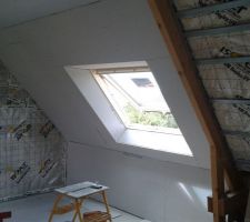 Entourage Velux