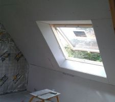 Entourage Velux