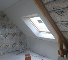 Entourage Velux