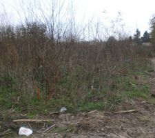 Et voila notre terrain,il y a du travail!!!