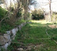 Petit talus que l on pense pousser puis  am&eacute;nager en joli jardin