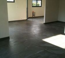 Carrelage gris 45*45