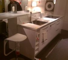 Le modèle de cuisine qui nous plait (ikea)