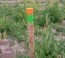 Les piquets sont l&agrave;! :)