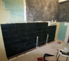 D&eacute;but de la pose des fa&iuml;ences dans la sdb et "lavage" de l'enduit b&eacute;ton ...