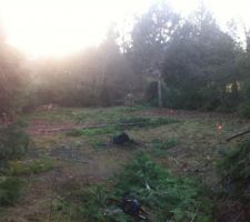 Implantation des piques