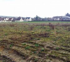 Angle Ouest
Niveau Sol Fini zone habitable (-10cm de la cote en photo)