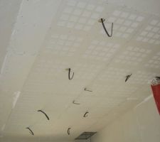 Plafond phonique