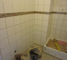 Pose fa&iuml;ence SDE en cours