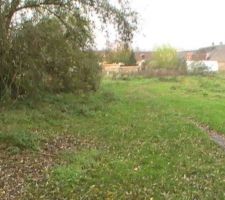 Le terrain, vu du fond avec les arbres qui vont &ecirc;tre coup&eacute;s.
